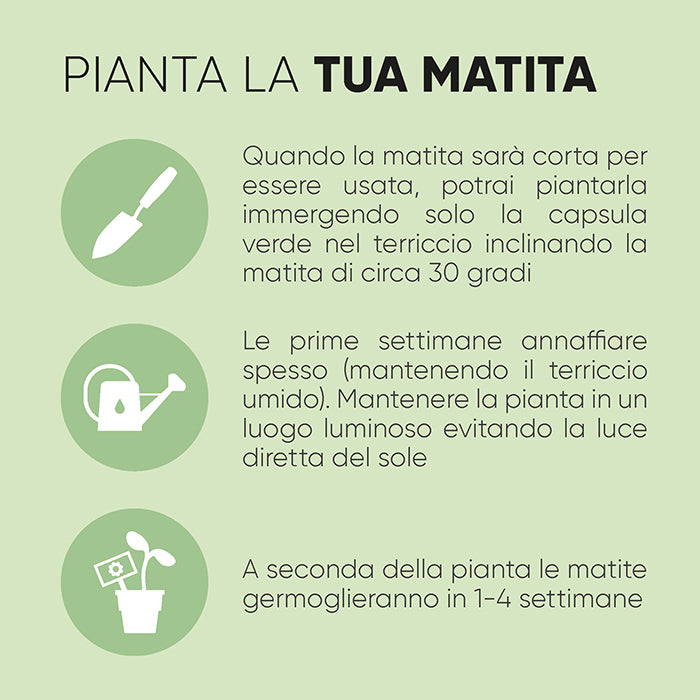 Matita SPROUT piantabile in legno – BASILICO | PD562
