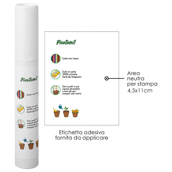 Set 4 matite in carta piantabili – SET PIANTAMI | PD573