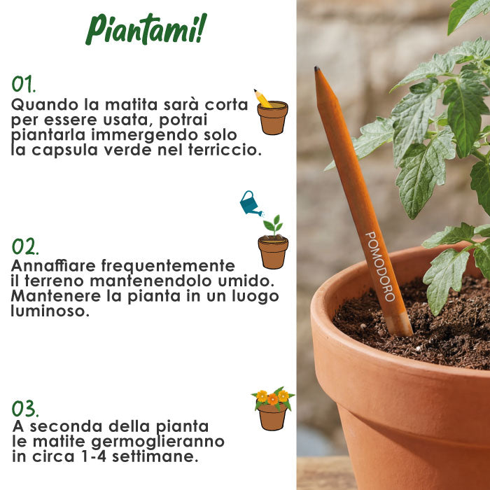Matita in carta piantabile – PIANTAMI | PD574PO