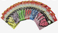 Profumatori auto assortiti a foglia